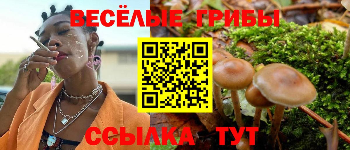 Галлюциногенные грибы мицелий Советск