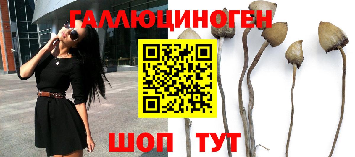 Галлюциногенные грибы прущие грибы  Галлюциногенные грибы GOLDEN TEACHER  Вход с VPN  Советск 